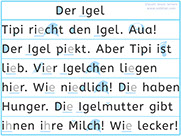 Apprendre l'allemand - Apprendre à lire un texte allemand avec le son i long / ie / ih   - Langes i ie ih Laut lesen lernen - Lecture visuelle